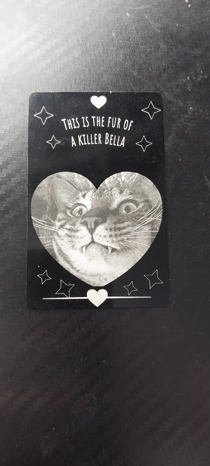 This Is the Fur of a Killer, Bella