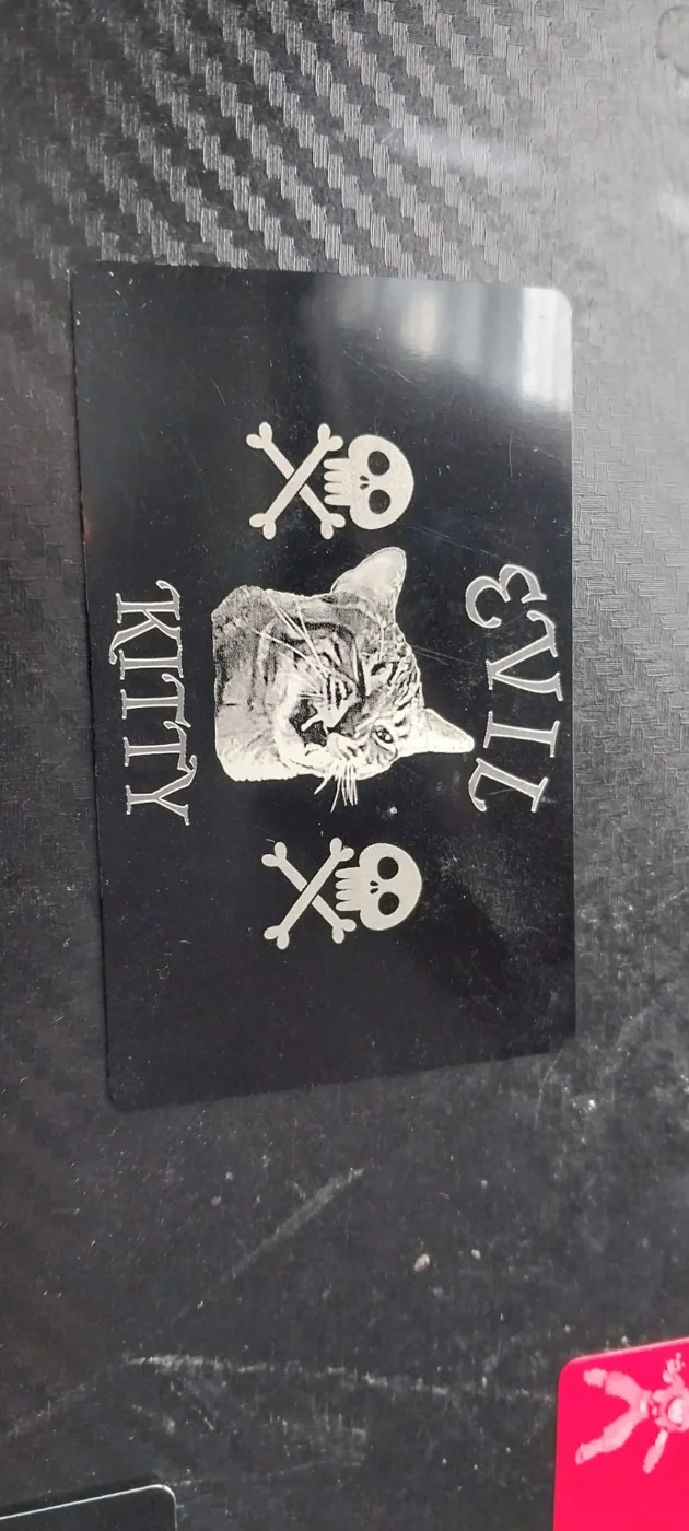 Evil Kitty