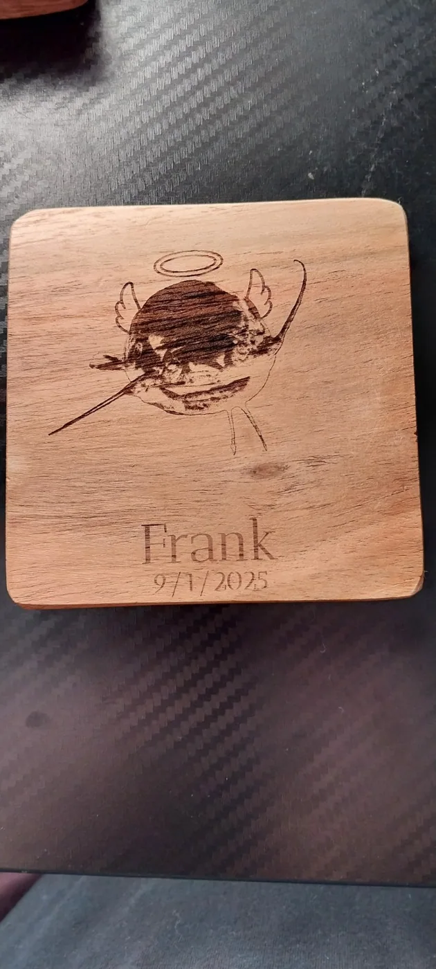 Frank the fish coaster
