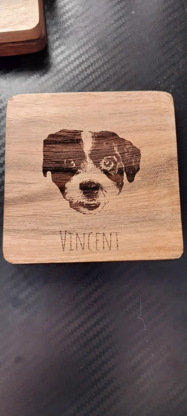 Vincent the dog coaster